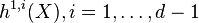 h^{1,i}(X), 
i=1,\dots,d-1